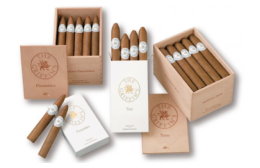 milde und sehr gute The Griffin's Classic Einsteiger Zigarren direkt und bequem online shoppen